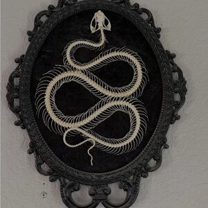 Black and White Snake Skeleton Wall Art